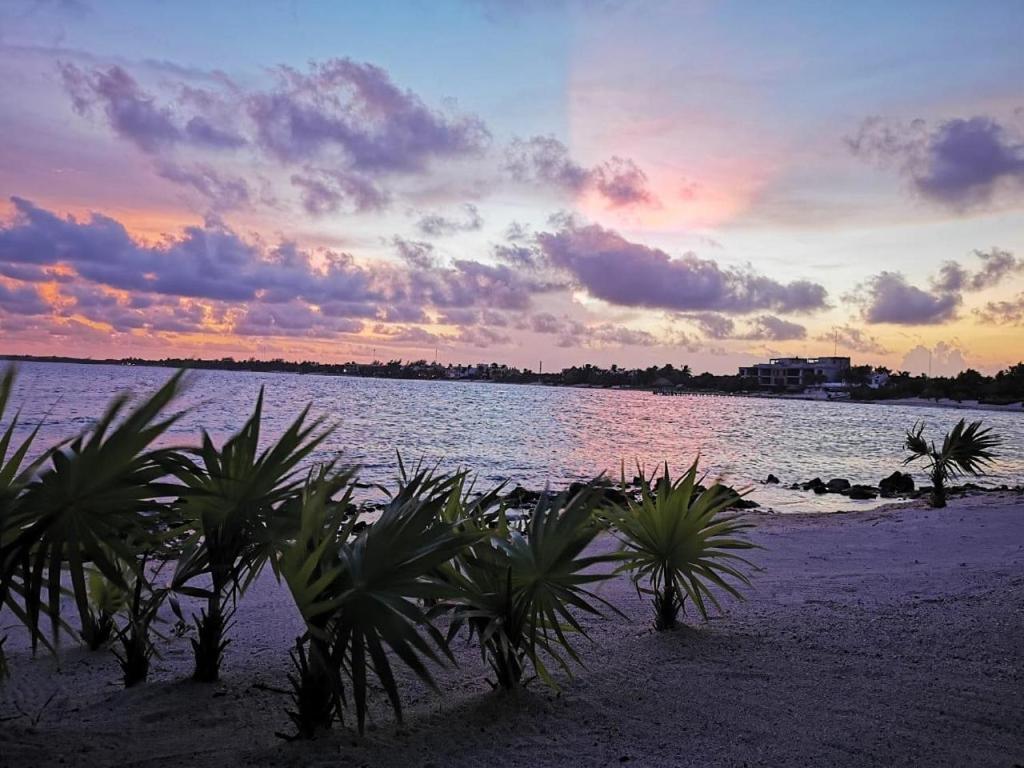 Tulsayab Luxury Development Apartment Tulum Exterior photo